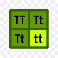 ��POP��ѧ�Ŵ������ѧ-������