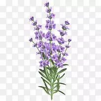 »éÑçÑûÇëÞ¹Ò²ÝÉãÓ°Ã÷ÐÅÆ¬-Þ¹Ò²ݻ¨Í¸Ã÷PNG¼ôÌù»-¿ÕÈôÍø »éÑçÑûÇëÞ¹Ò²ÝÉãÓ°Ã÷ÐÅÆ¬-Þ¹Ò²ݻ¨Í¸Ã÷PNG¼ôÌù»-¿ÕÈôÍø