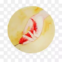 水彩画.水彩羽毛-空若网 水彩画.水彩羽毛-空若网