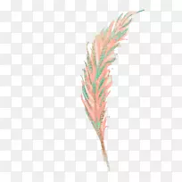 水彩画羽毛夹艺术洞喜鹊羽毛-空若网 水彩画羽毛夹艺术洞喜鹊羽毛-空若网