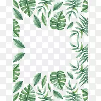 叶夏鲜植物媒介边界-空若网 叶夏鲜植物媒介边界-空若网