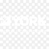 联合国大学计算机与社会学会电子邮件公司服务数据组-电子邮件-空若网 联合国大学计算机与社会学会电子邮件公司服务数据组-电子邮件-空若网