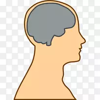 ����-���Լ�����-�����Լ�����-������