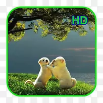 桌面壁纸4k分辨率1080 p超高清晰电视-android-空若网 桌面壁纸4k分辨率1080 p超高清晰电视-android-空若网