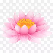 Nelumbo nucifera nymphaea荷花百合剪贴画-空若网 Nelumbo nucifera nymphaea荷花百合剪贴画-空若网