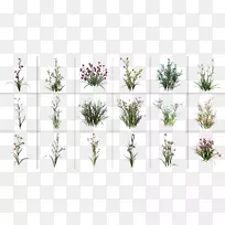 Þ¹Ò²ÝäÖȾµç×ÓÓʼþÓ°Ôº4dͼÐδ¦Àíµ¥Ôª-¿ÕÈôÍø Þ¹Ò²ÝäÖȾµç×ÓÓʼþÓ°Ôº4dͼÐδ¦Àíµ¥Ôª-¿ÕÈôÍø