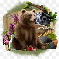 灰熊陆生动物鼻子熊-空若网 灰熊陆生动物鼻子熊-空若网