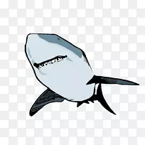 鲨鱼动画剪辑艺术-大鲸材料-空若网 鲨鱼动画剪辑艺术-大鲸材料-空若网