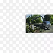 ��������ֲ��Ⱥ����ľ���صض�������ľ-������