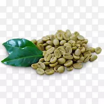 绿咖啡提取物绿茶咖啡厅-咖啡-空若网 绿咖啡提取物绿茶咖啡厅-咖啡-空若网