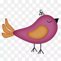 ���������-����-������