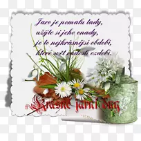 花卉设计博客-空若网 花卉设计博客-空若网