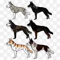 狗繁殖尾巴野生动物-狗-空若网 狗繁殖尾巴野生动物-狗-空若网