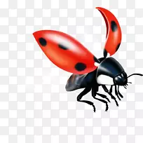 ���Ů���-������