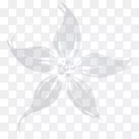 花瓣线白色对称叶线-空若网 花瓣线白色对称叶线-空若网