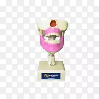 �������ѧ-�����ѧ-������