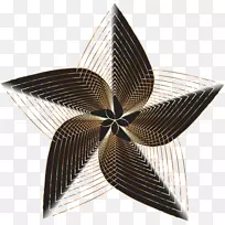 对称-当归盖设计-空若网 对称-当归盖设计-空若网