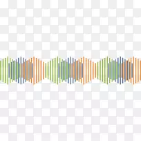 铅笔绿线叶生态健康-空若网 铅笔绿线叶生态健康-空若网