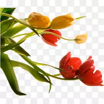 ��������-����-������