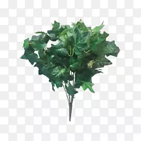 花园冬季蔬菜花盆-蔬菜-空若网 花园冬季蔬菜花盆-蔬菜-空若网