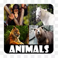 适合孩子的动物声音android-android-空若网 适合孩子的动物声音android-android-空若网