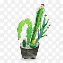 �����ƿ�������-��ͨ������ͷ-������