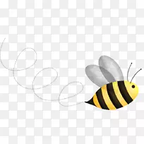 蜜蜂科昆虫-空若网 蜜蜂科昆虫-空若网