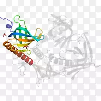 ƽ��������������������-������