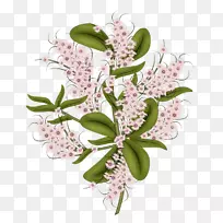 ����ֽ��������-������