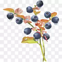 ��ݮ��ʵ-�ƹ���ݮ��ʵ��ݮ-������