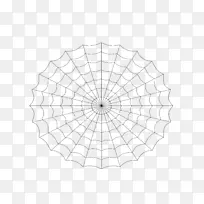 ��Ҷ�ǶԳ�֩����ͼ��-������