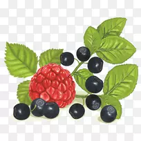 覆盆子蓝莓越橘剪贴画.蓝莓覆盆子的铅料颜色-空若网 覆盆子蓝莓越橘剪贴画.蓝莓覆盆子的铅料颜色-空若网