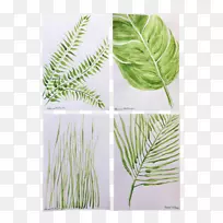 Ҷ��ֲ�ﾥ��-Ҷ-������