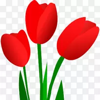 郁金香花夹艺术-郁金香-空若网 郁金香花夹艺术-郁金香-空若网