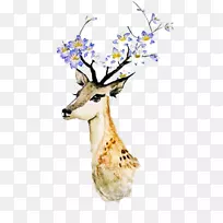 鹿创作水彩画-水彩画鹿-空若网 鹿创作水彩画-水彩画鹿-空若网
