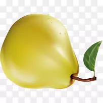 ˮ����xd 7 bretschneideri laiYang auglis������-���������-������