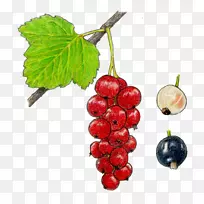 �����޺˹������-����-������