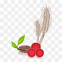 有机食品早餐谷类面包树-空若网 有机食品早餐谷类面包树-空若网