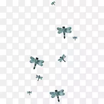 昆虫蝴蝶-蜻蜓装饰材料-空若网 昆虫蝴蝶-蜻蜓装饰材料-空若网