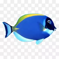 ���������-��ɫ�ȴ���-������