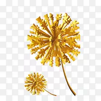 ���ѹ�Ӣ-������