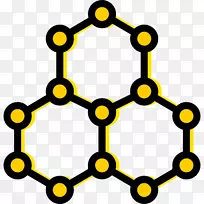 �������ѧ�����ͼ����ſ�ѧ-������