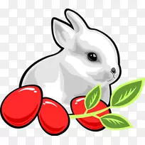 ��������Ӳ��ͼ�����-�����-������