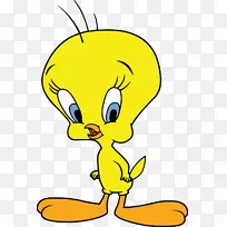 ���洫���߿�ͨ������-������