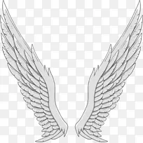 天使翅膀白银天使翅膀-空若网 天使翅膀白银天使翅膀-空若网