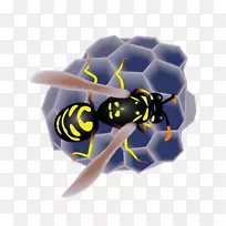 �۷�����䳲-������