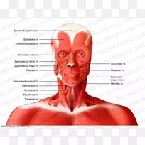 ���⾱����ϵͳ�������-������