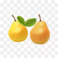 橙汁梨-空若网 橙汁梨-空若网