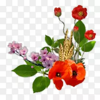 插花艺术-空若网 插花艺术-空若网