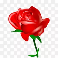 情人节玫瑰心夹艺术-情人节-空若网 情人节玫瑰心夹艺术-情人节-空若网